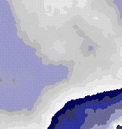 rheuma