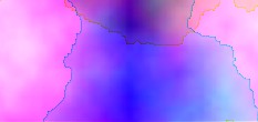 www rheuma de